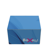 Klebefreie Schachtel mit Schloss